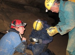 SWG_Group_WV_6